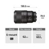 Sony- FE 90mm  F2.8 Macro G OSS